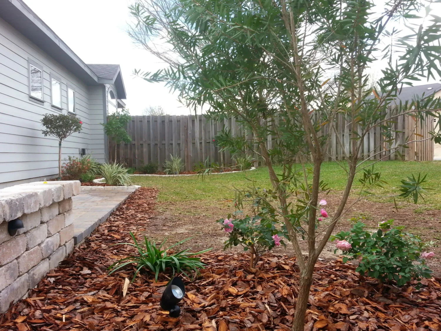 20140222_145734adj.jpg