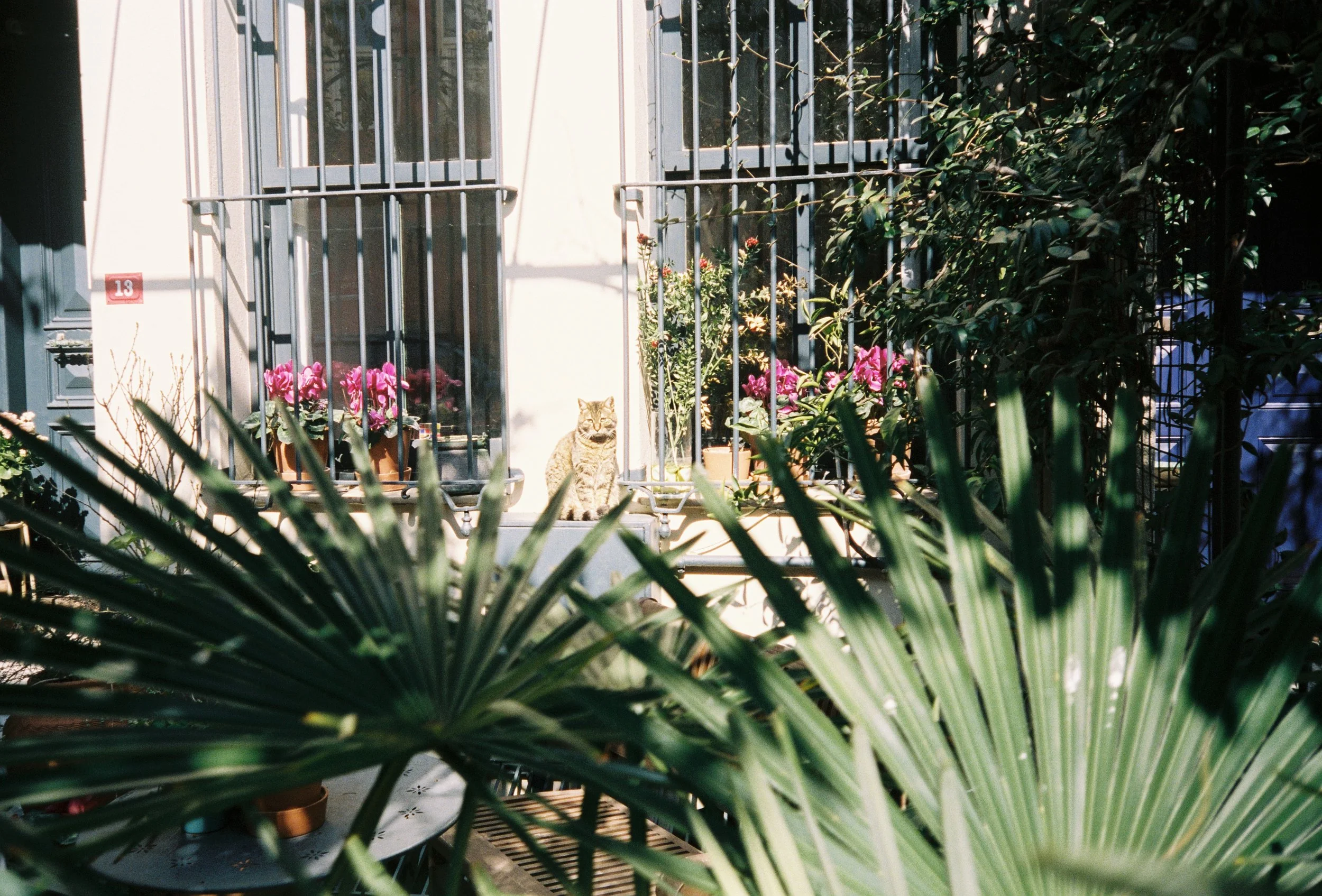 1b (6)_1.JPG