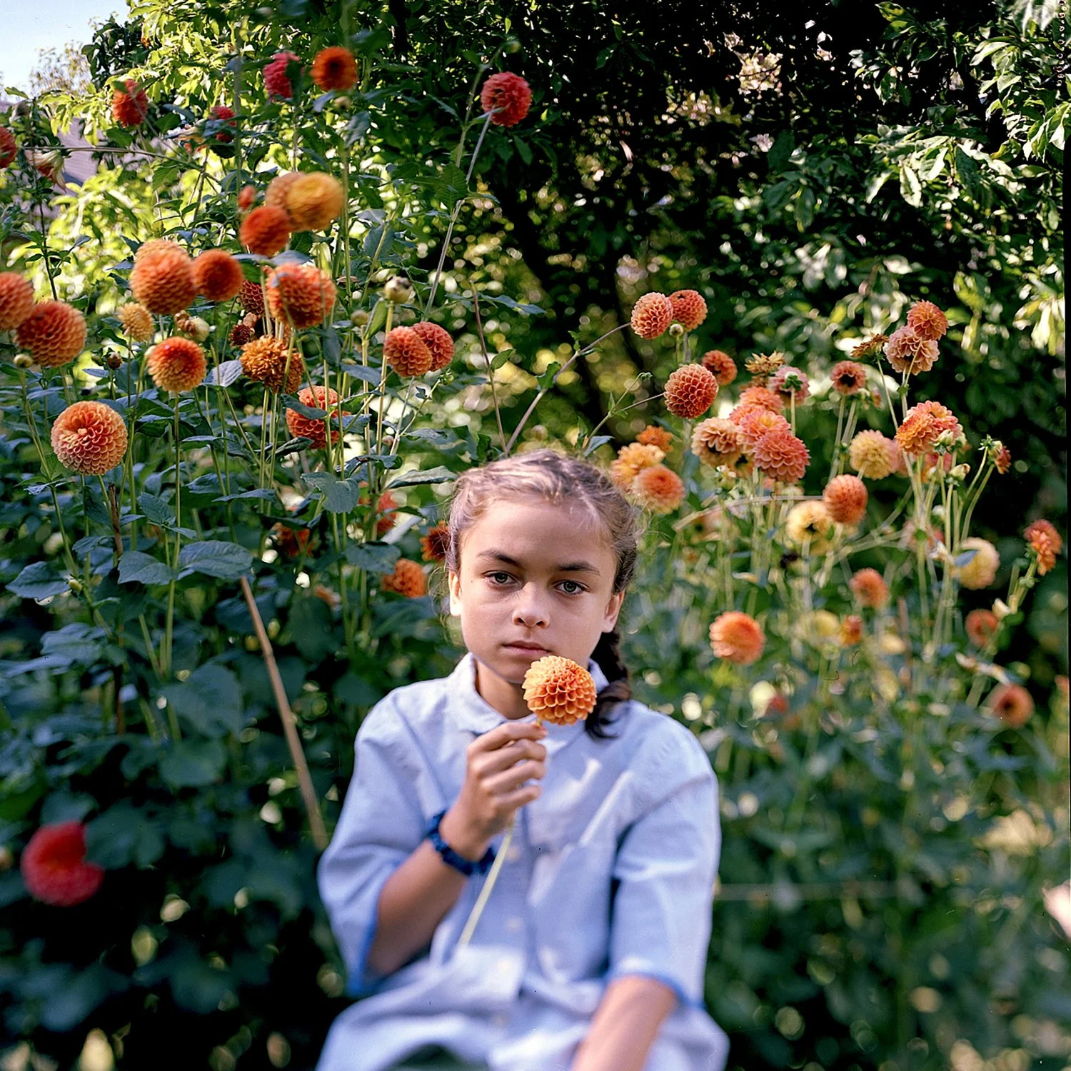 SimonKeough_Wilde-in-the-Garden_2025.jpg