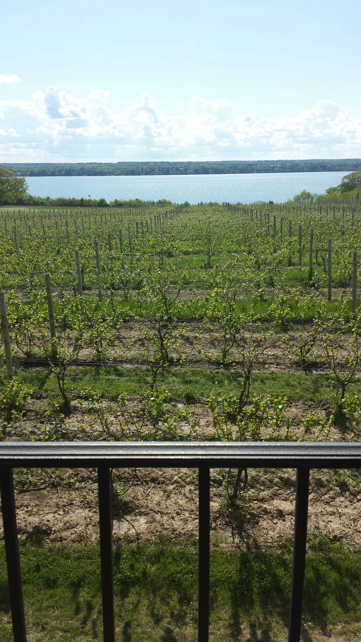 20140524_162625_resized.jpg