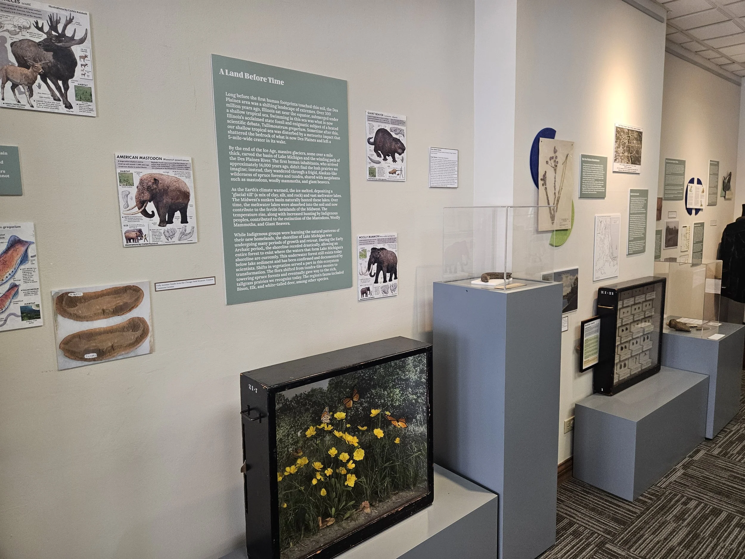 Flora, Fauna, and Us
