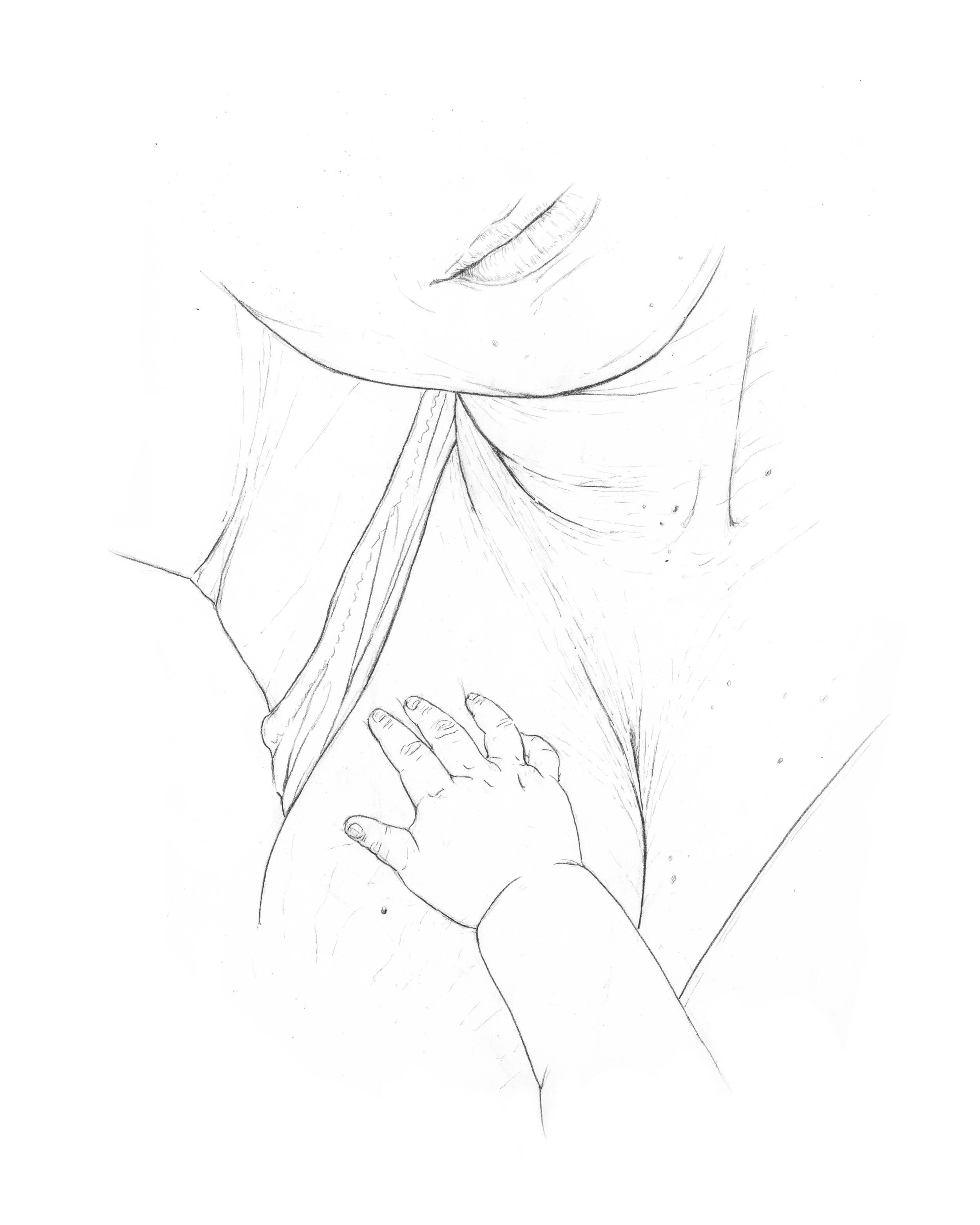 Age Crease, 2022, graphite on Bristol, 11 x 14 inches.