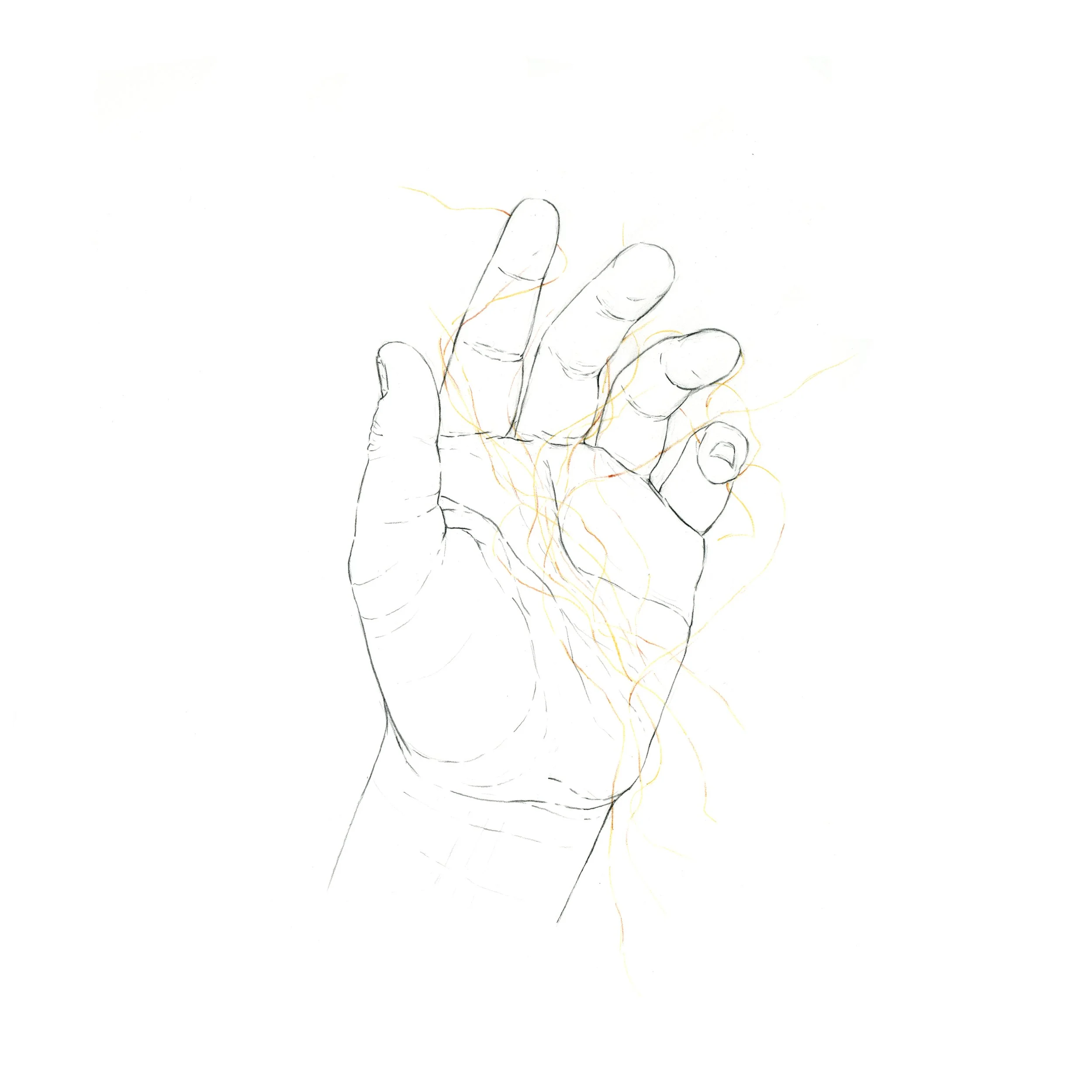 Last Strands Of My Youth, 2022, graphite on Bristol, 12 x 12.