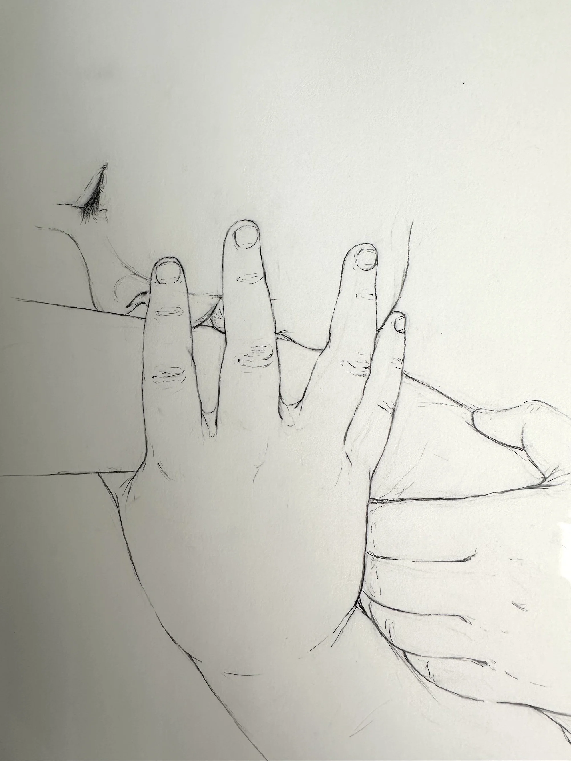 The kissing hand, 2024, graphite on Bristol, 15.25in x 18.25in, framed and signed, $500