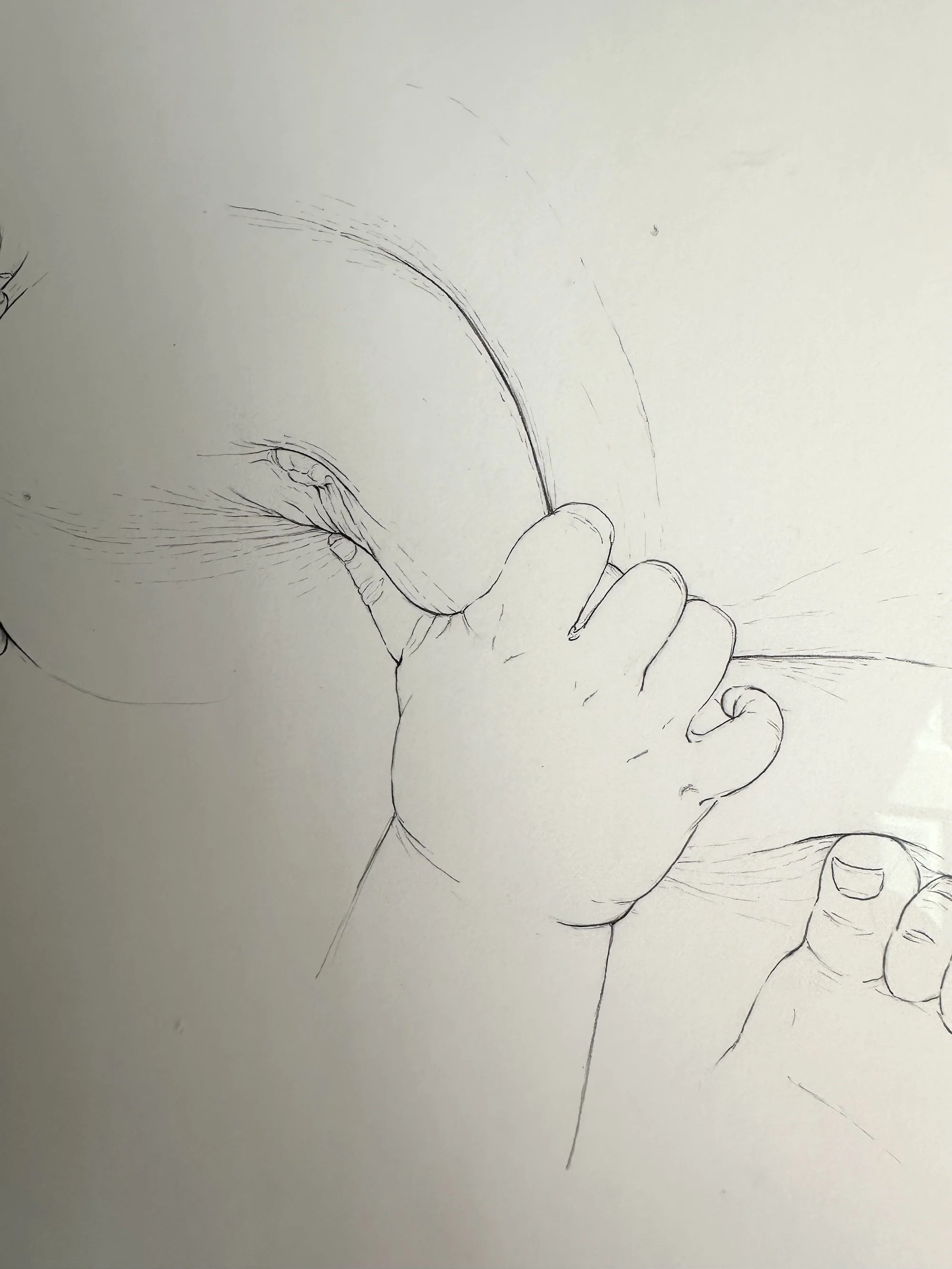 Trying to get back home, 2023, graphite on Bristol, 15.25in x 18.25in, framed and signed, $650