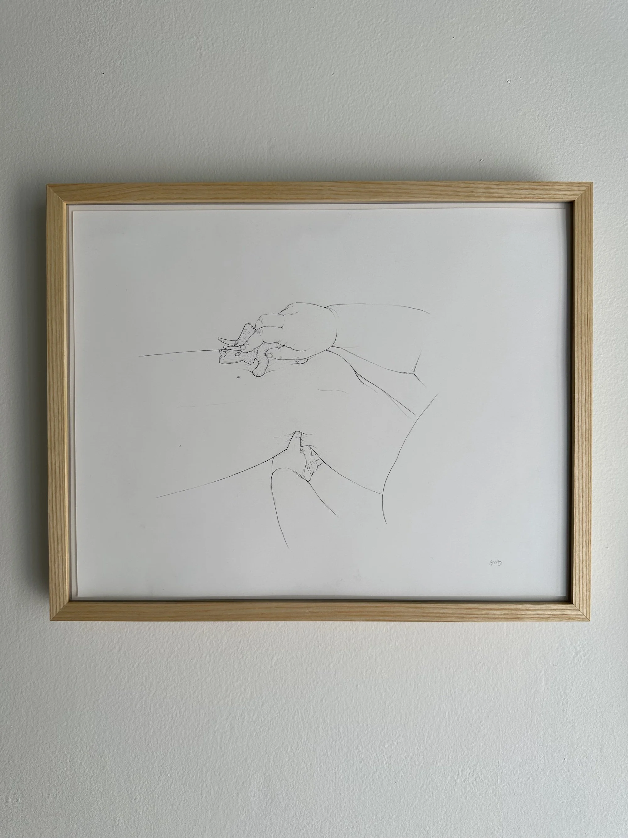 I am prehistoric, 2021, graphite on Bristol, 12.25in x 15.25in, signed and framed. $250