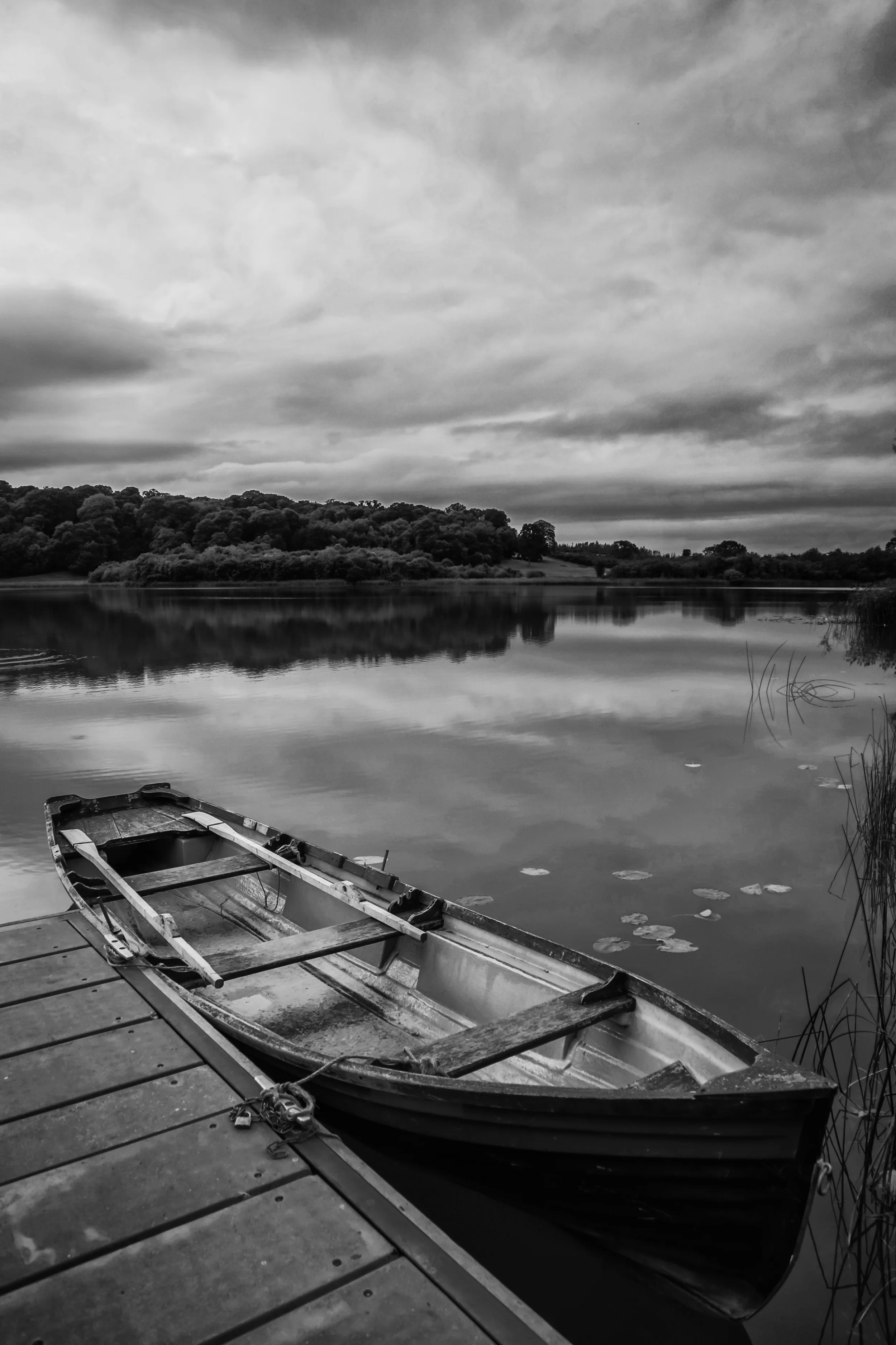 IMG_1104-Edit.jpg