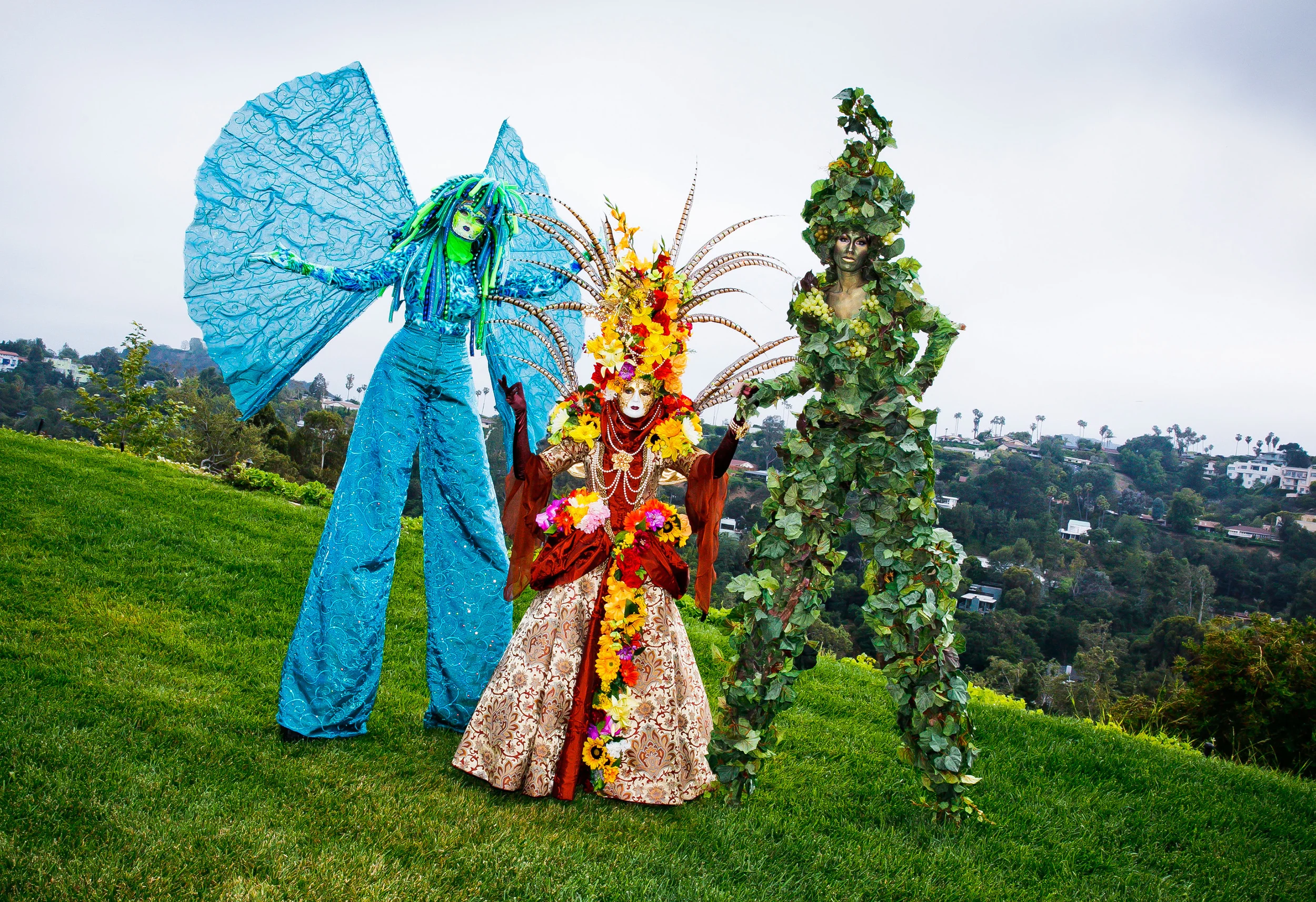 CHRYSALIS BUTTERFLY BALL 2013