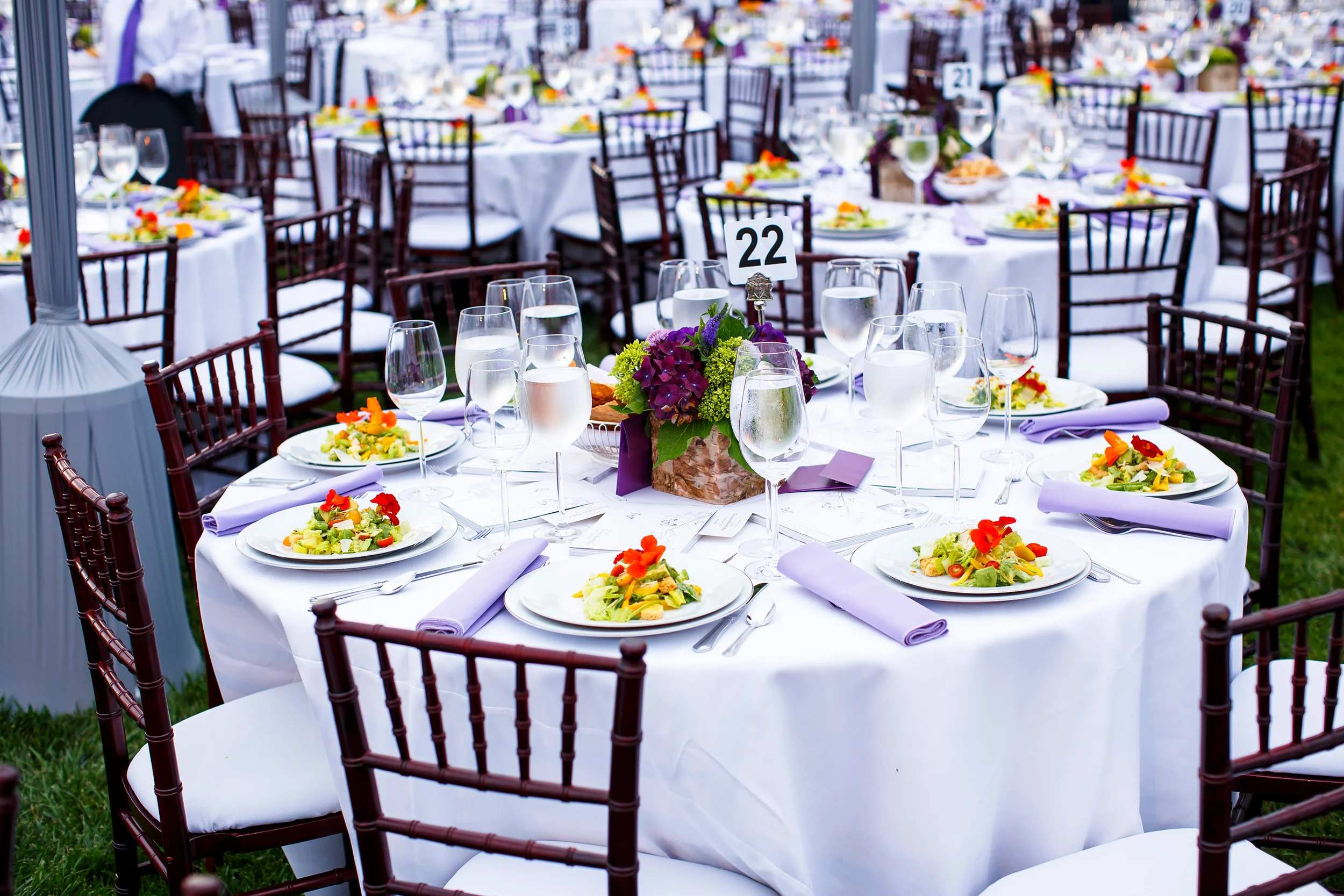 CHRYSALIS BUTTERFLY BALL 2013