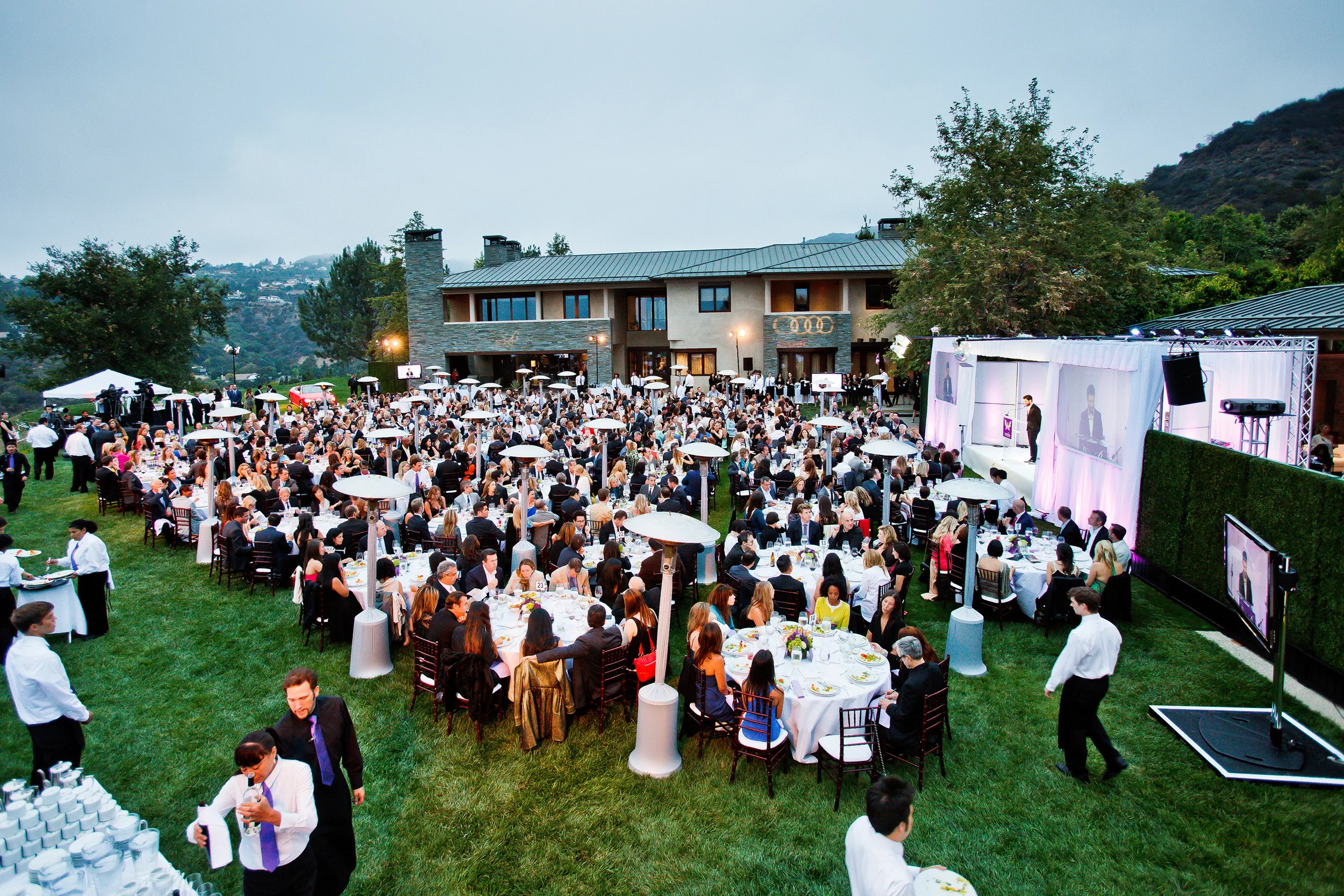 CHRYSALIS BUTTERFLY BALL 2013