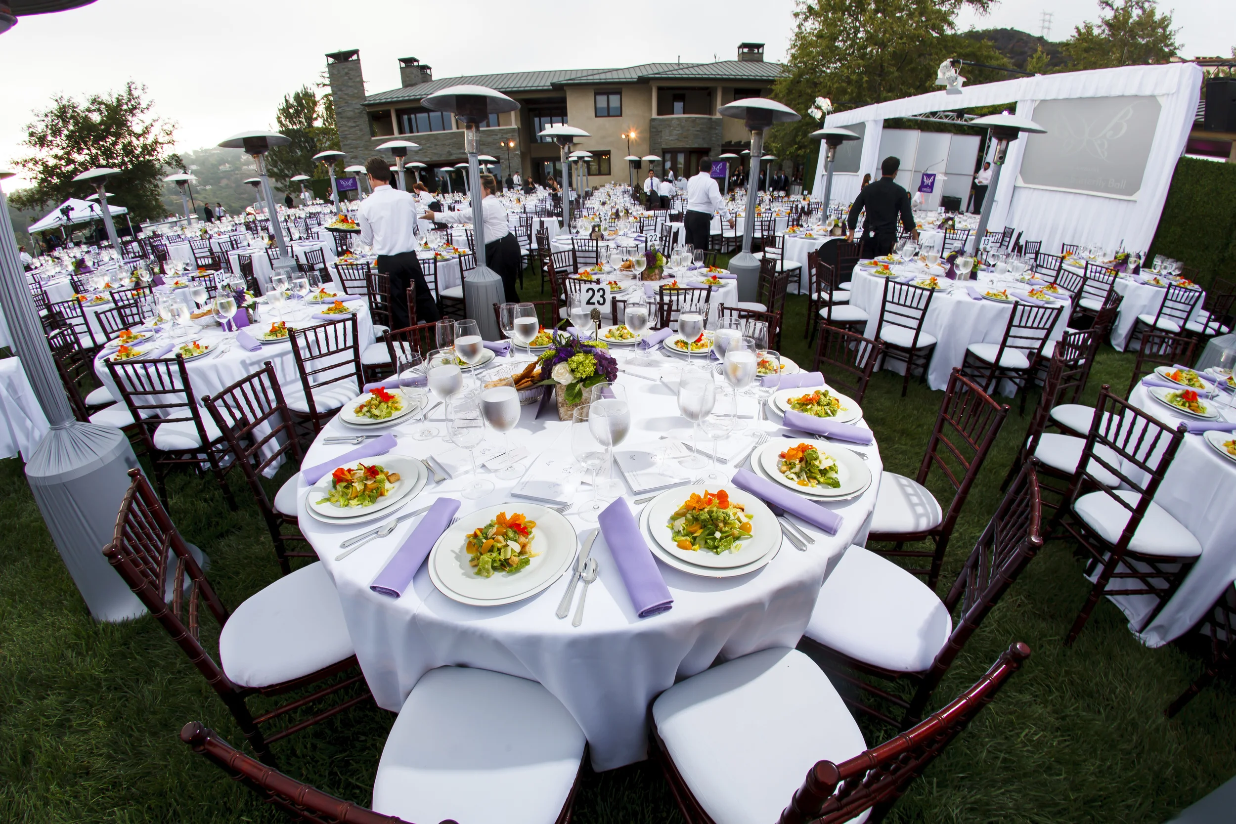 BIZBASH | CHRYSALIS BUTTERFLY BALL