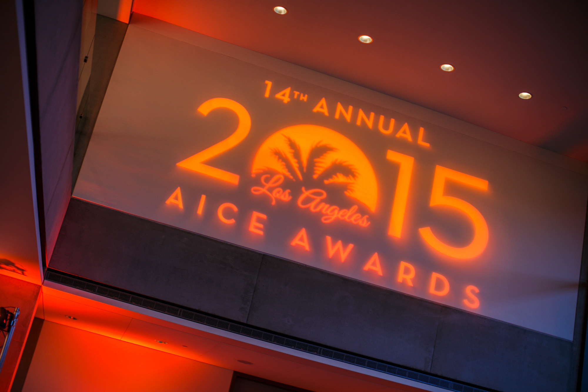 AICE AWARDS 2015