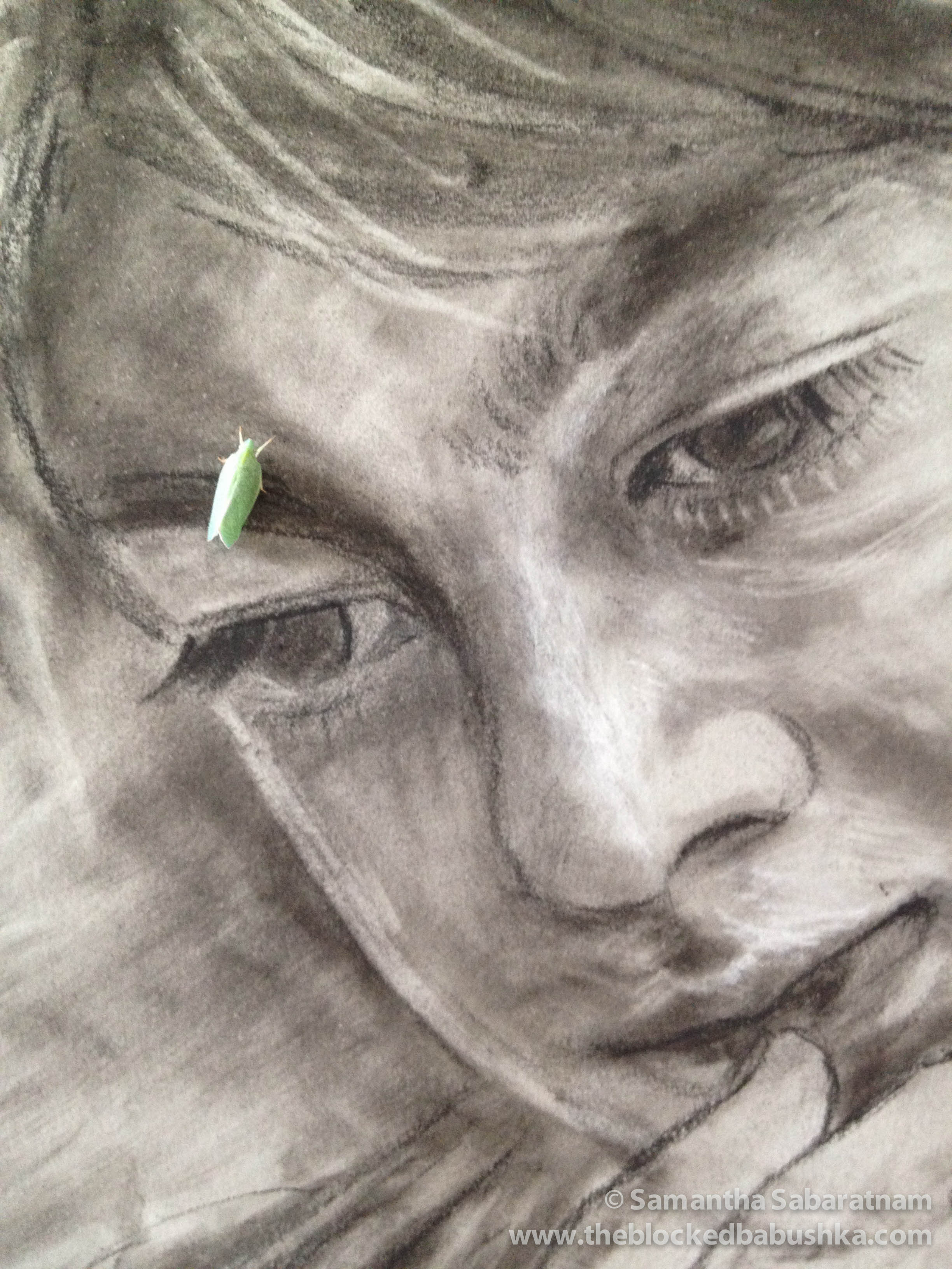 Bash Green Insect.jpg
