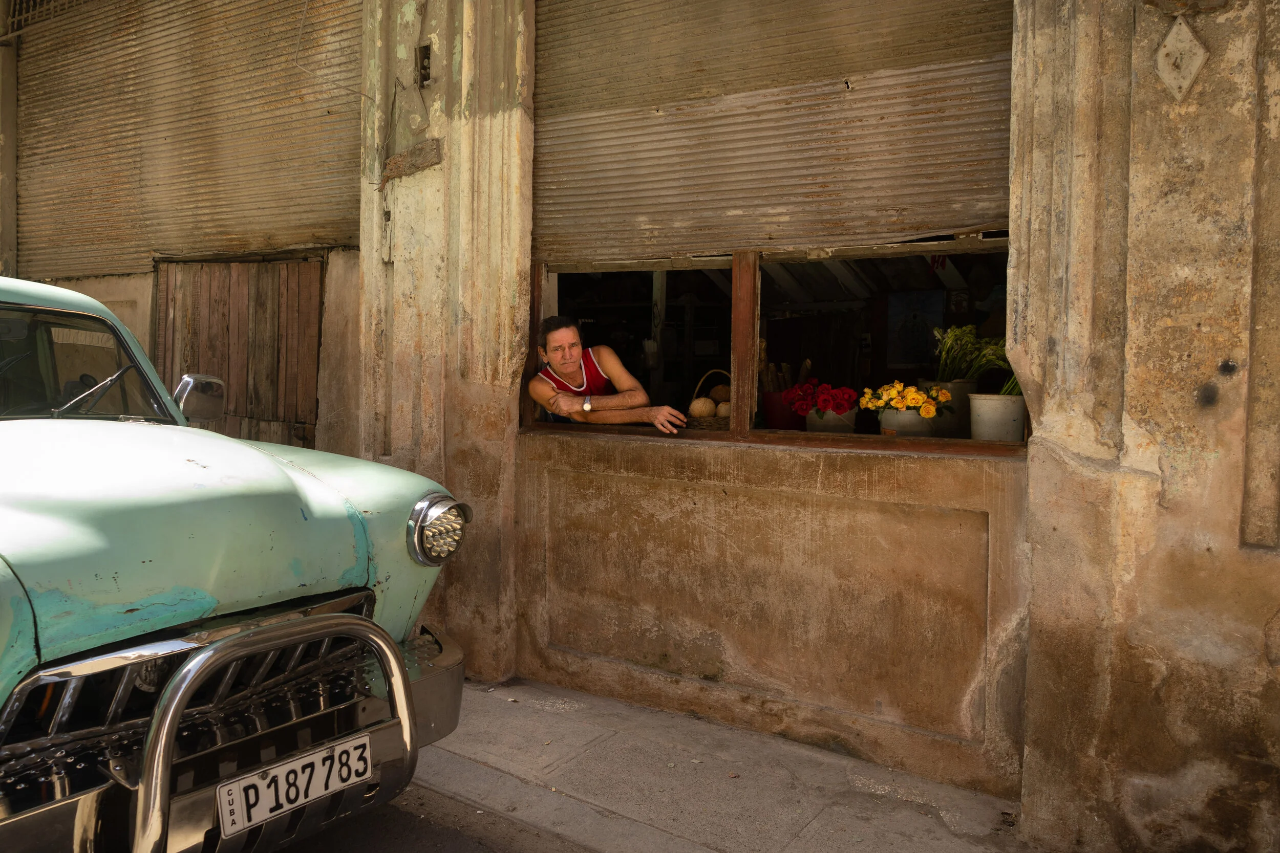 Flower Shop Portrait