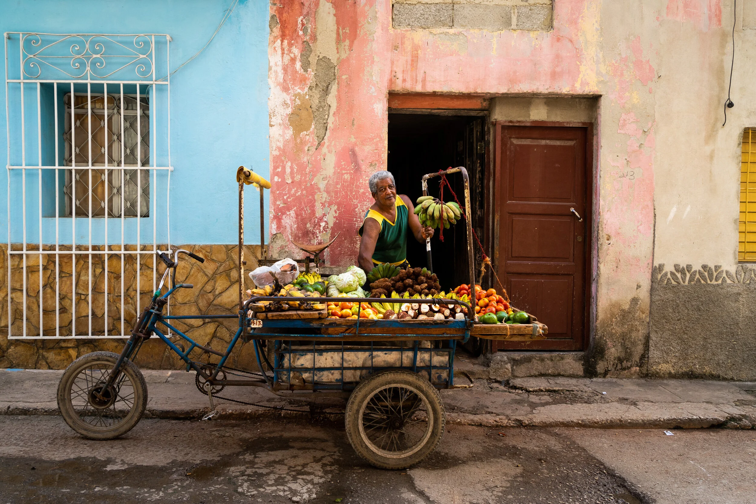Fruit Vendor