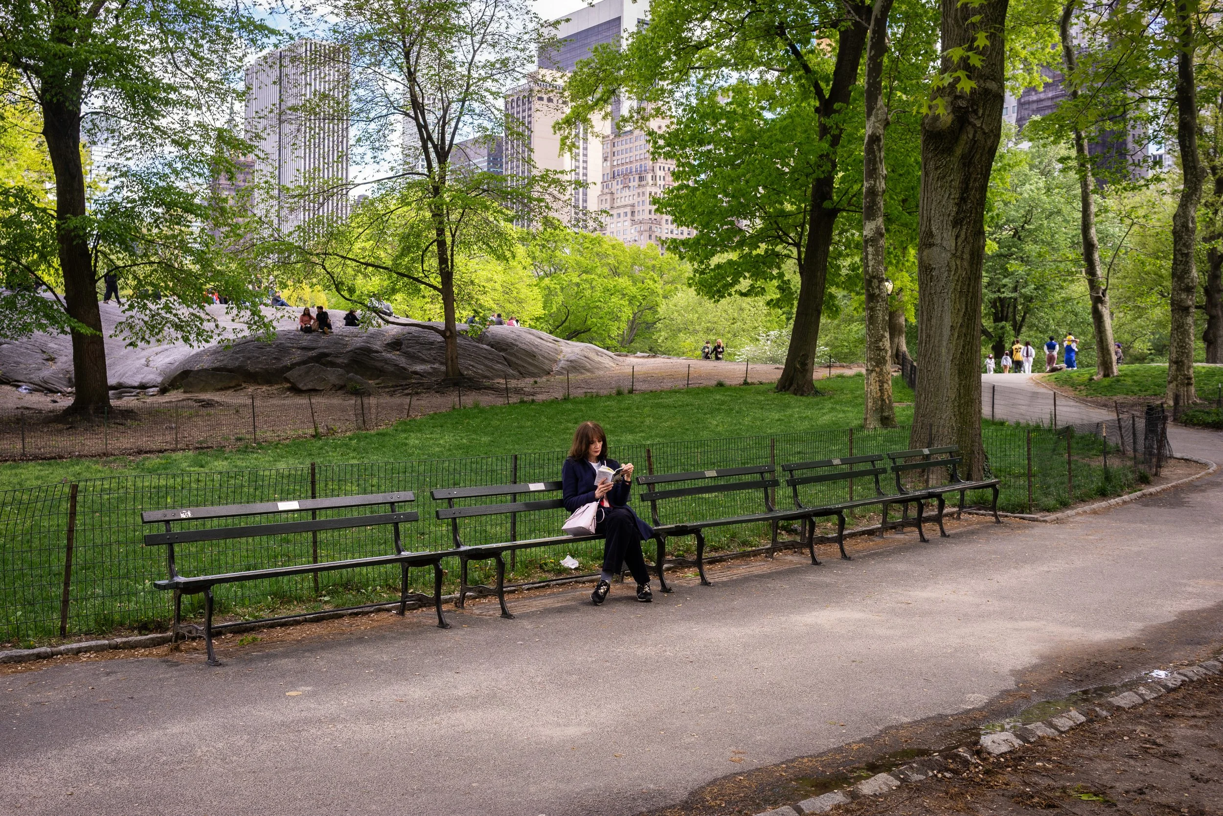 Spring in Central Park