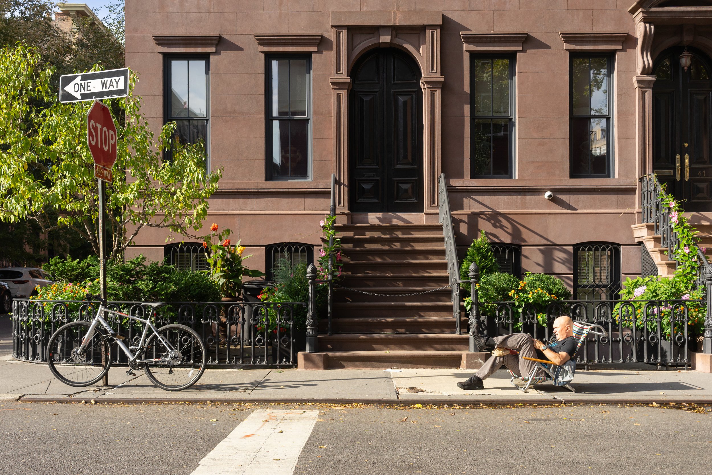 The NYC Backyard