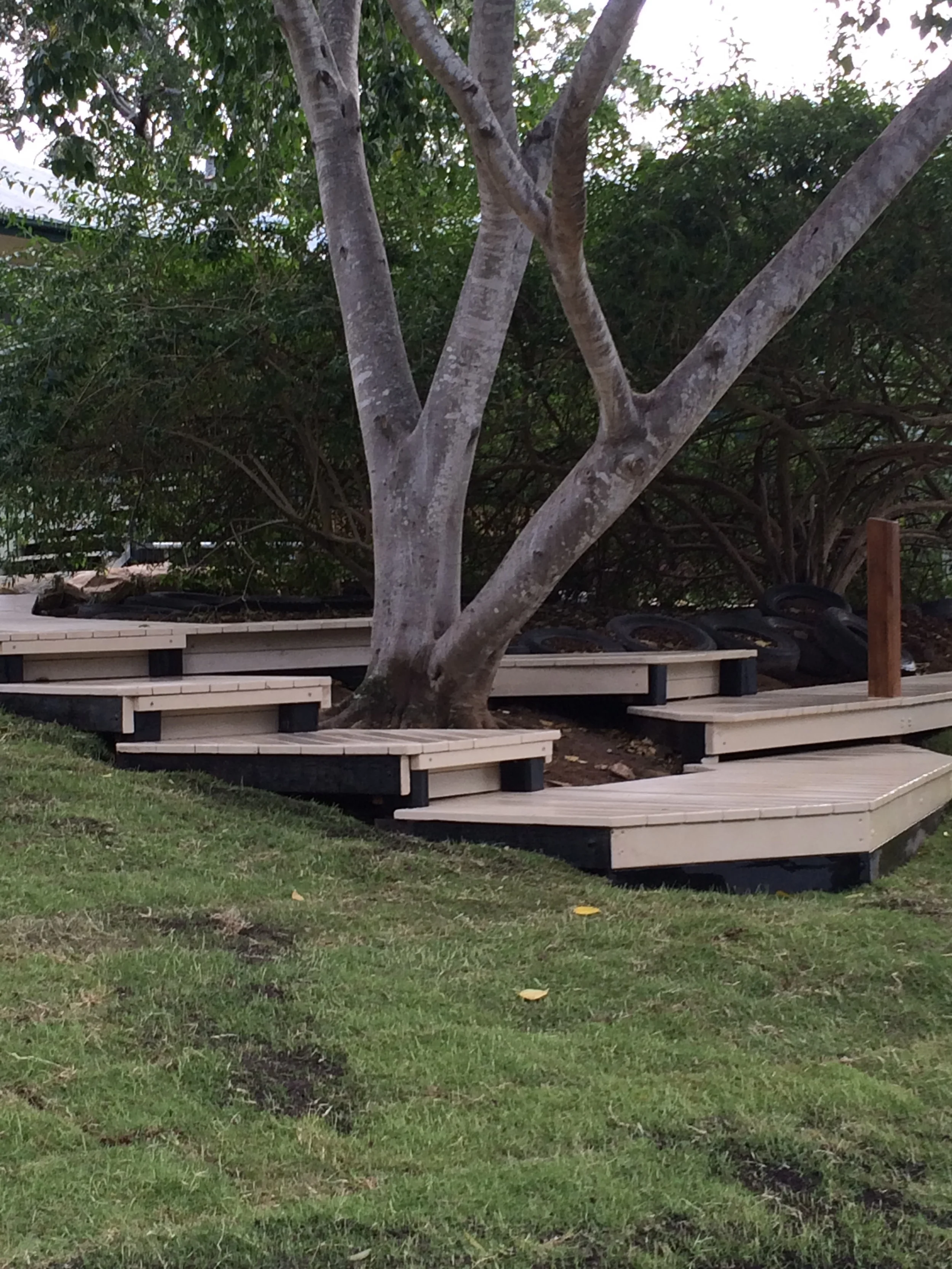 Now thats better than a dust bowl around the tree