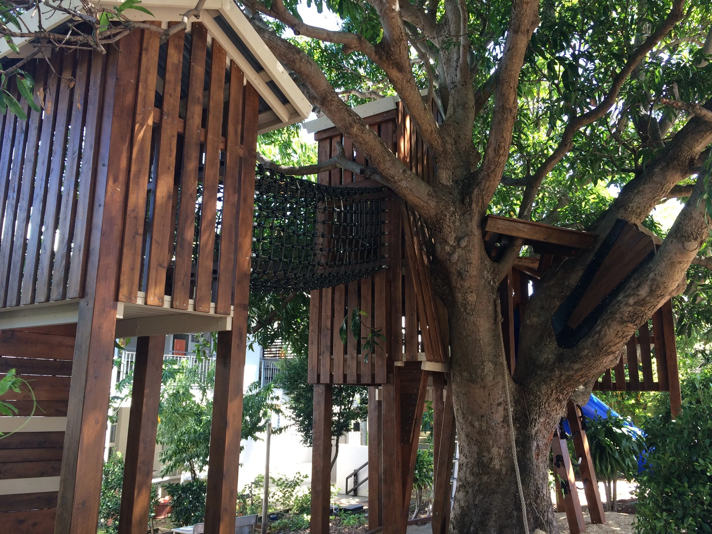 Mango Tree tree-house