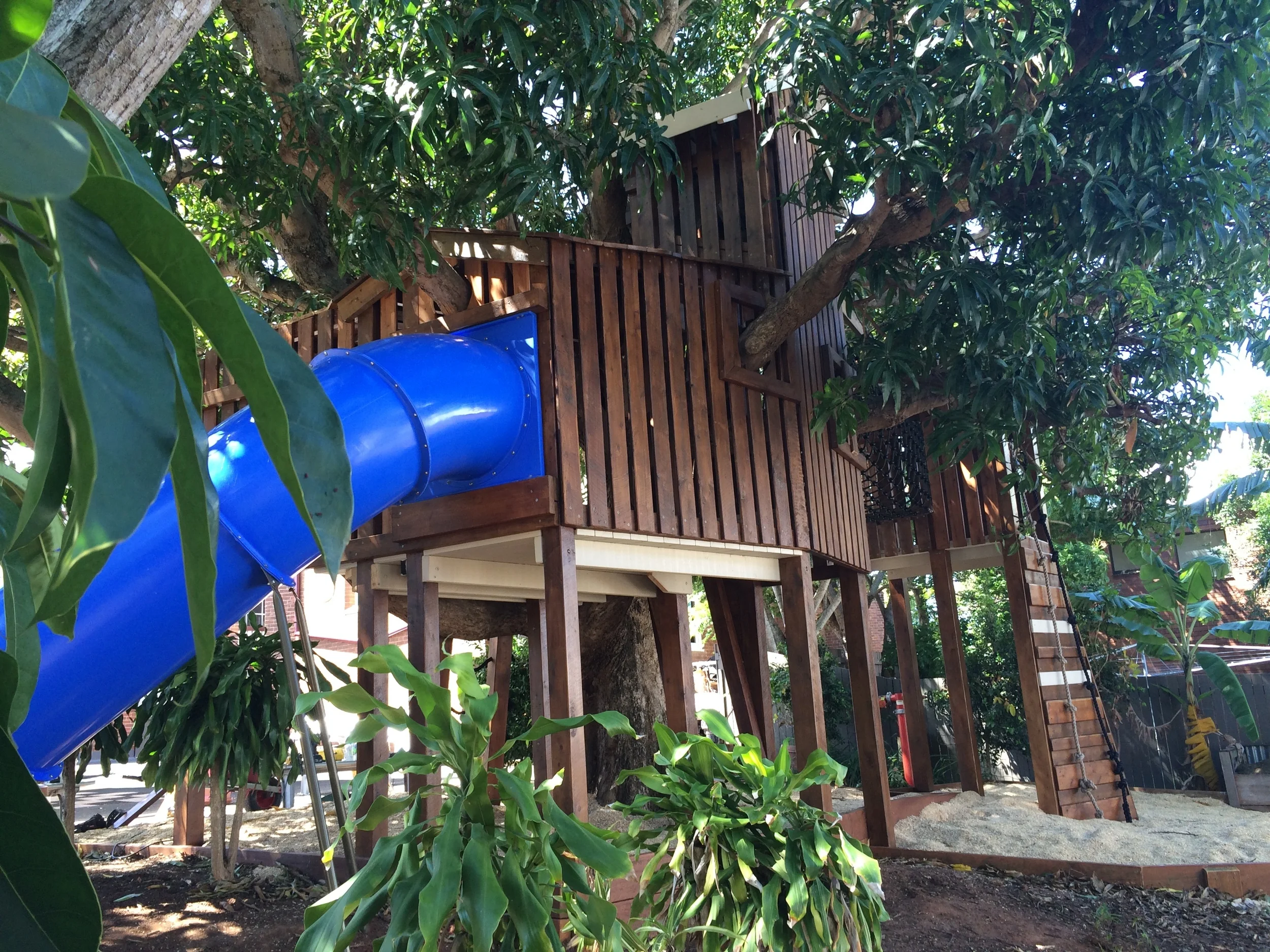 Mango Tree House