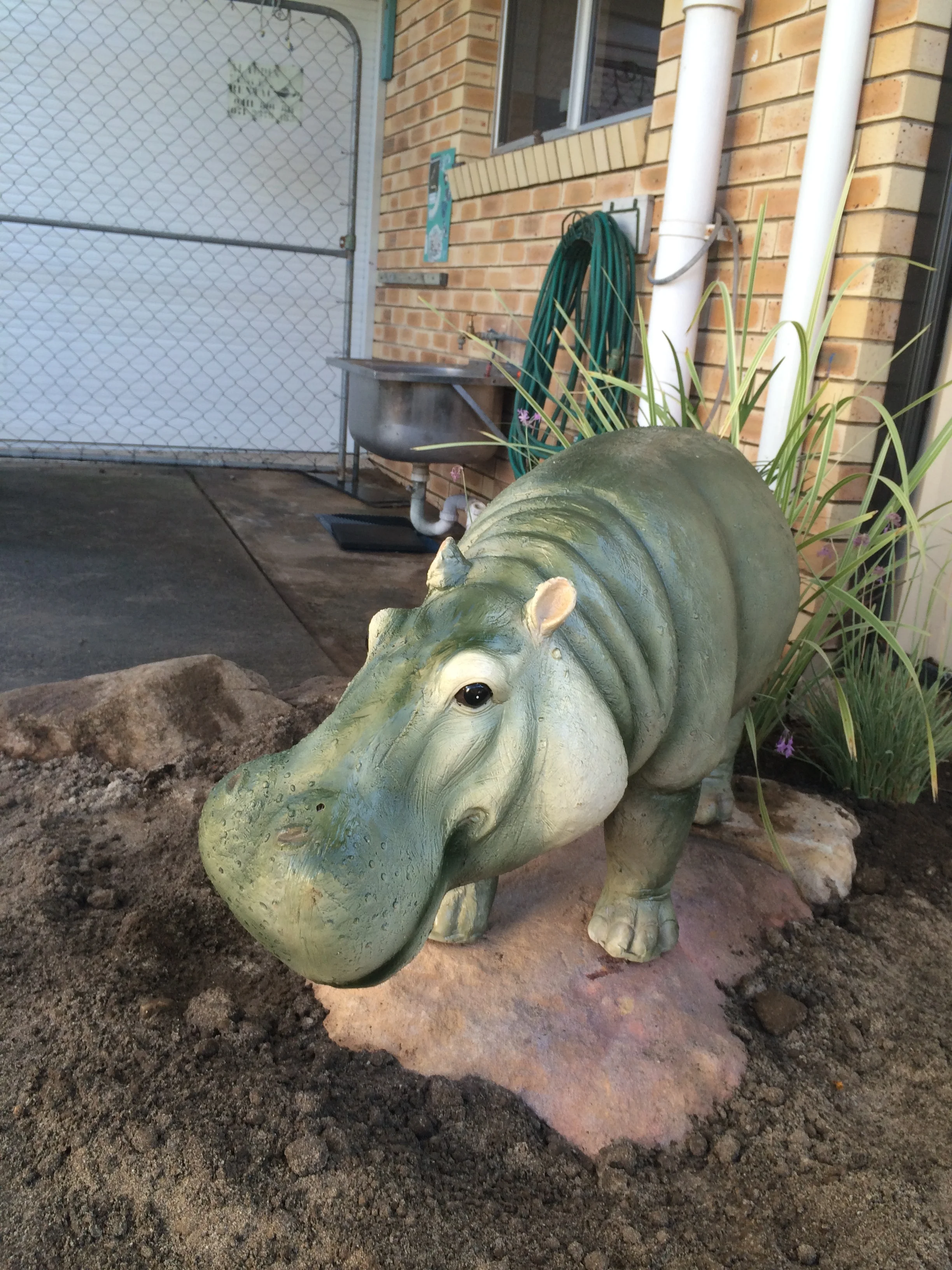 There just had to an Owen the Hippo. What else would fit a Mud-Pit wallow. The children love him and he is looking forward to mud pies and cakes.