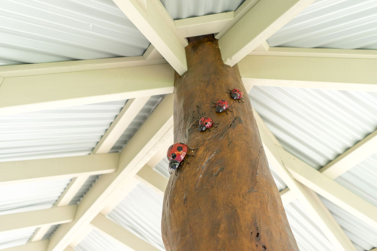 Under the sand-pit roof you must have a family of lady beetles.