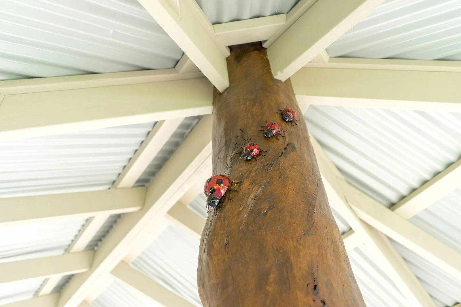 under the roof of the sand-pit the lady beetles have moved in.