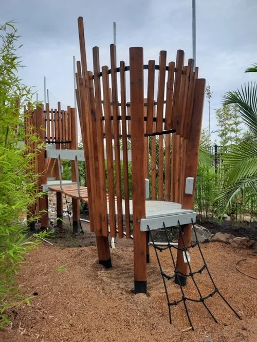 Fort connections Suns Carrara