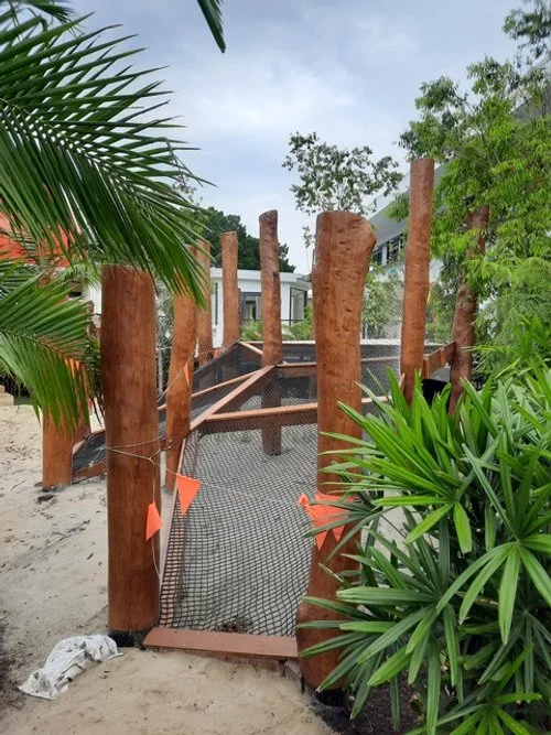 Net Climb Suns Carrara