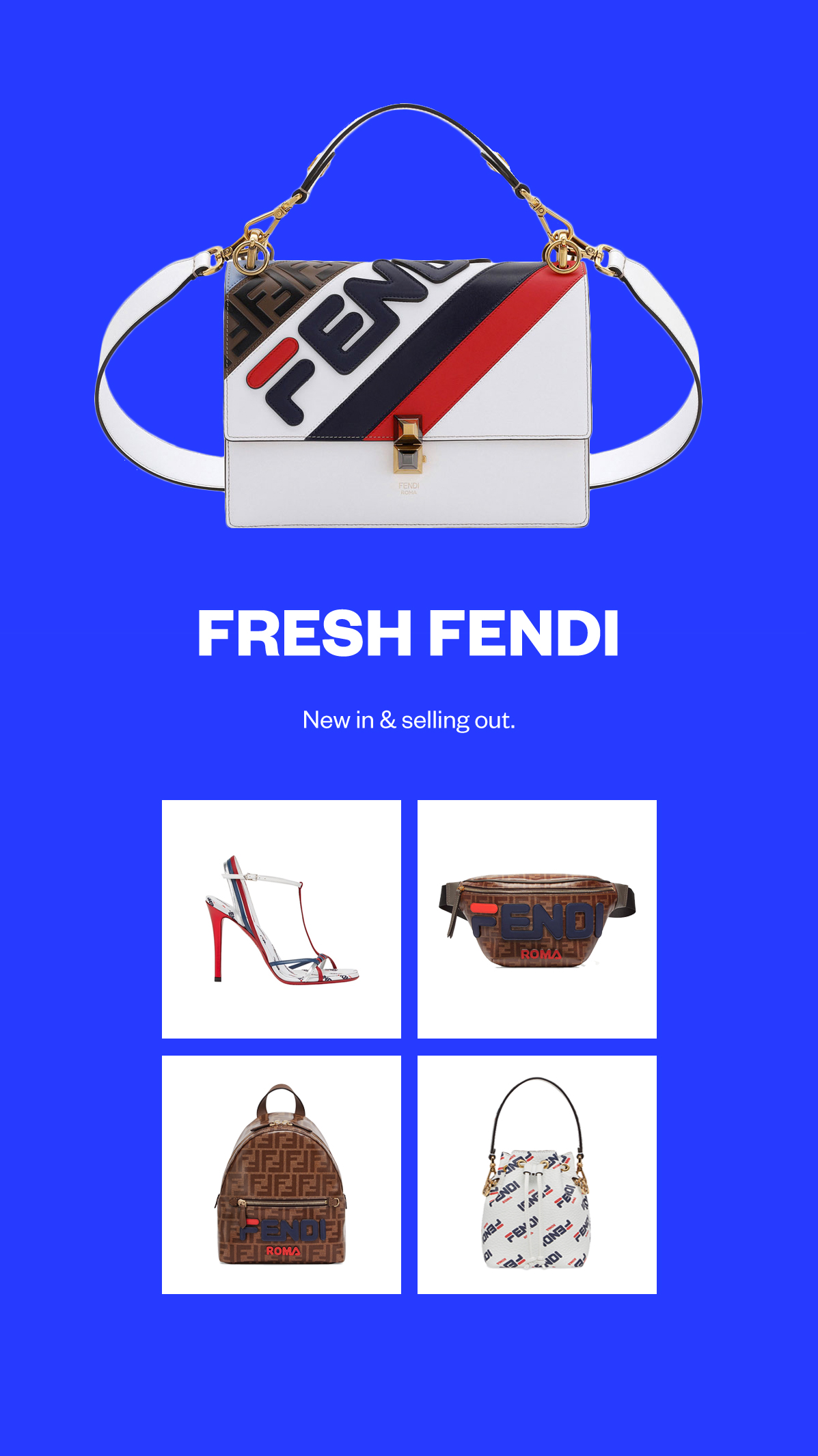 FreshFendi_C.jpg