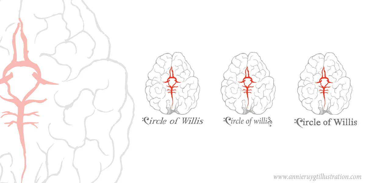 You Know Those Arteries In Our Brain??