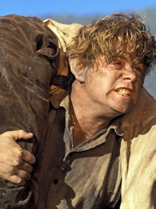 Samwise carrying Frodo and the ring. Did you cry when this happened? I sure did.