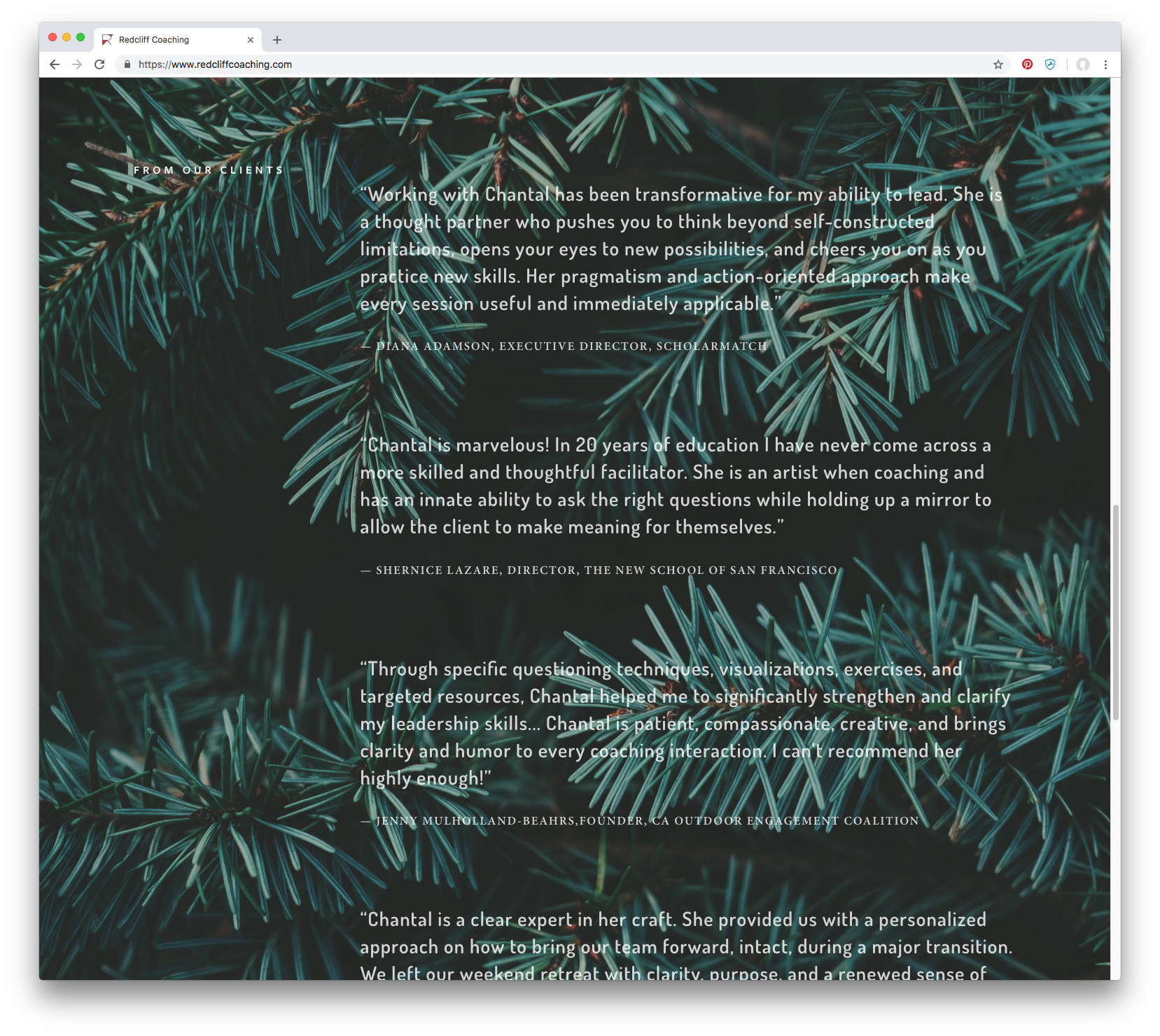 Screen Shot 2018-10-15 at 11.24.34 AM.png