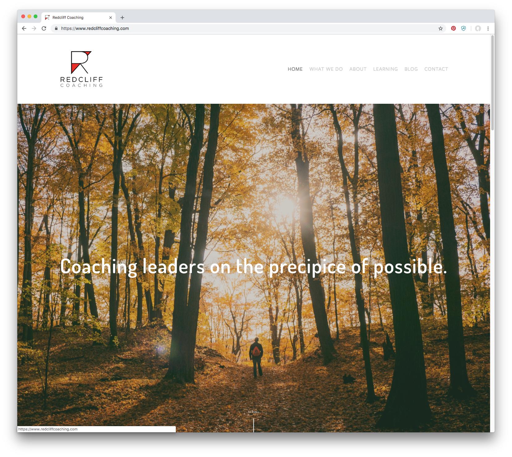 Screen Shot 2018-10-15 at 11.24.23 AM.png