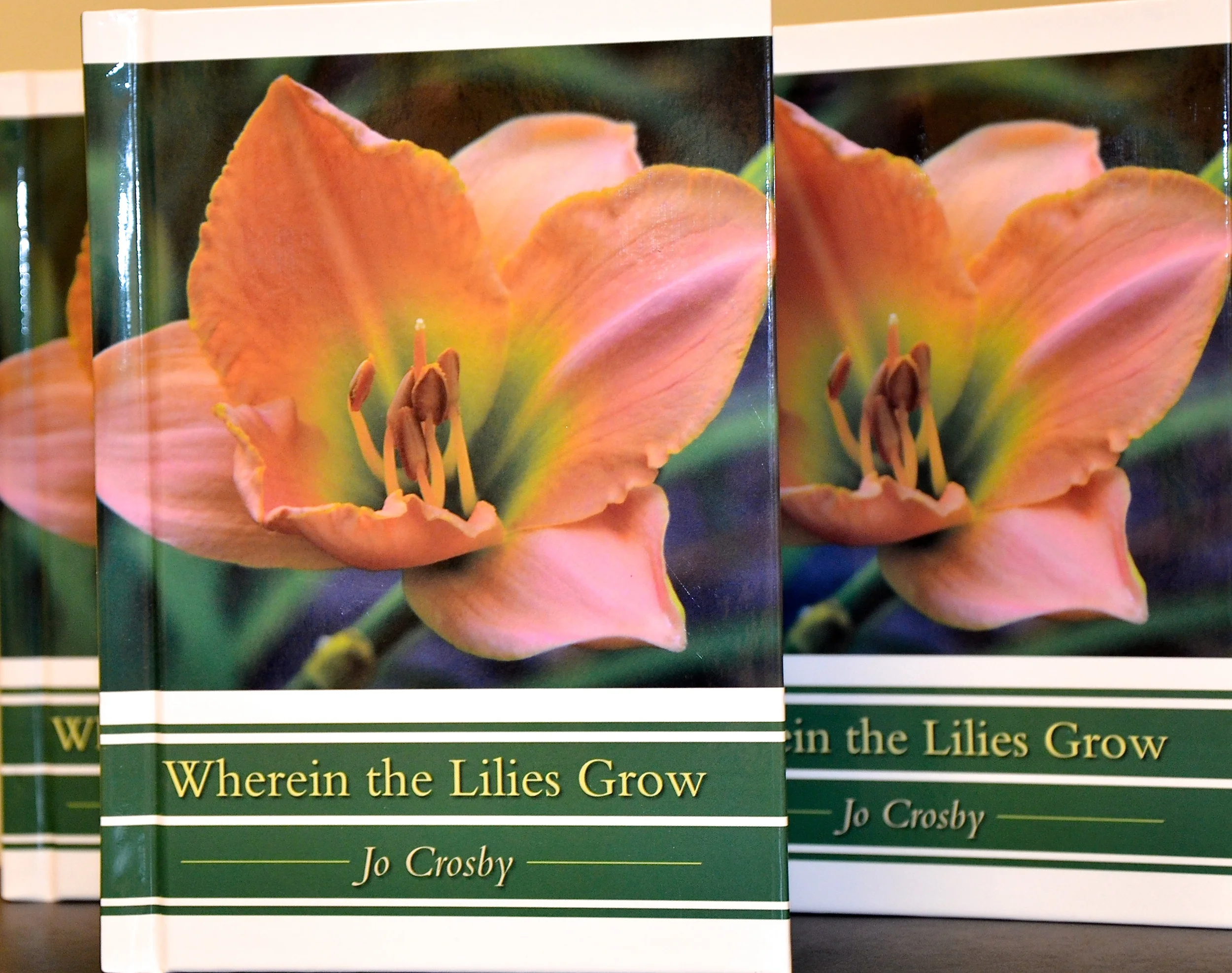 DSC_5720 - Version 2.JPG