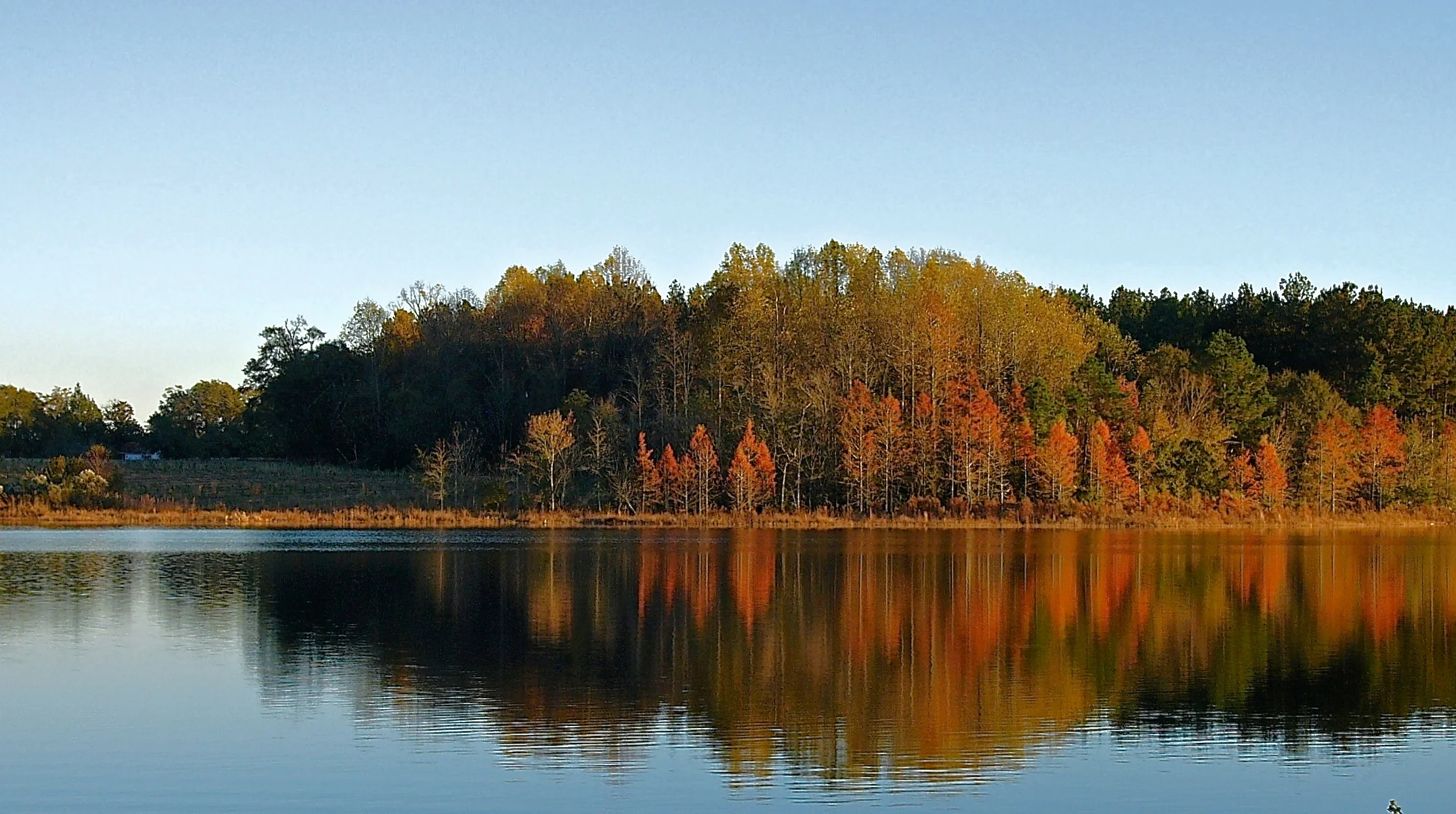 An Answer to the Holiday Stress and Holiday Blues