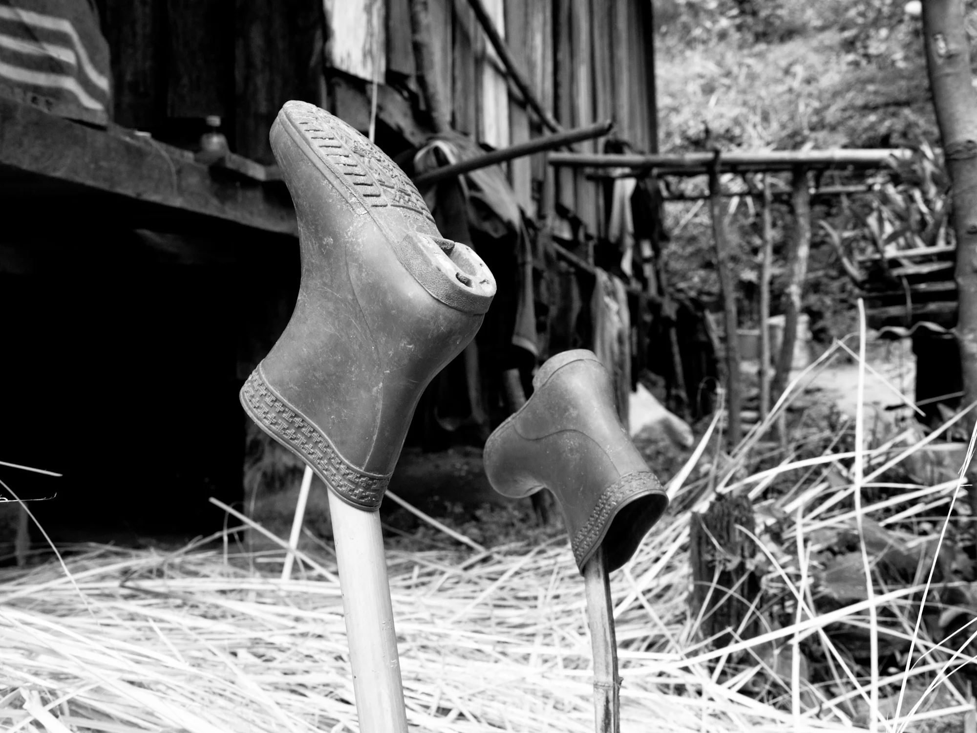 _1100822.jpg