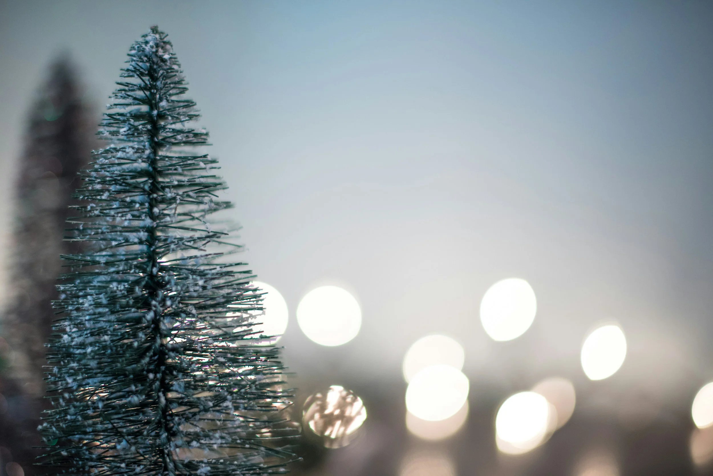 Surviving the Holidays with DBT Skills: Your Seasonal Stress Toolkit