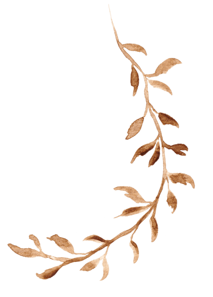Watercolor illustration of a brown leafy branch in a curved shape.