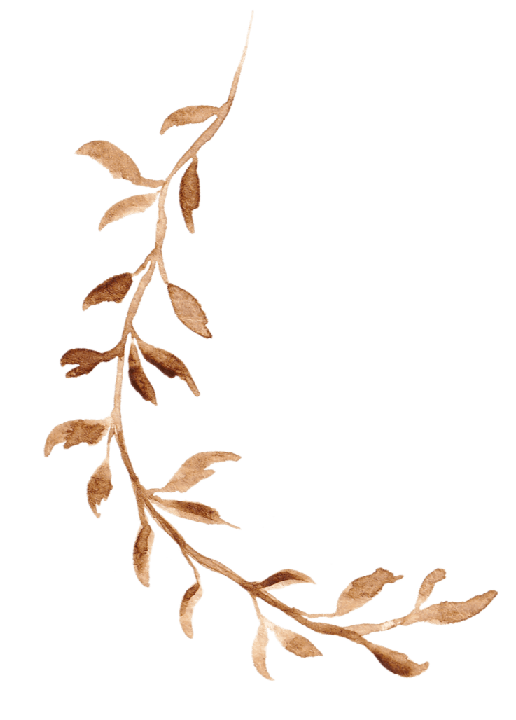 Watercolor illustration of a brown leafy branch on a black background.