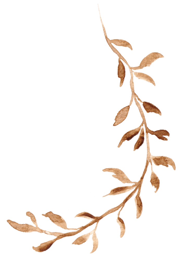 A brown, stem-like plant with multiple elongated, oval-shaped leaves