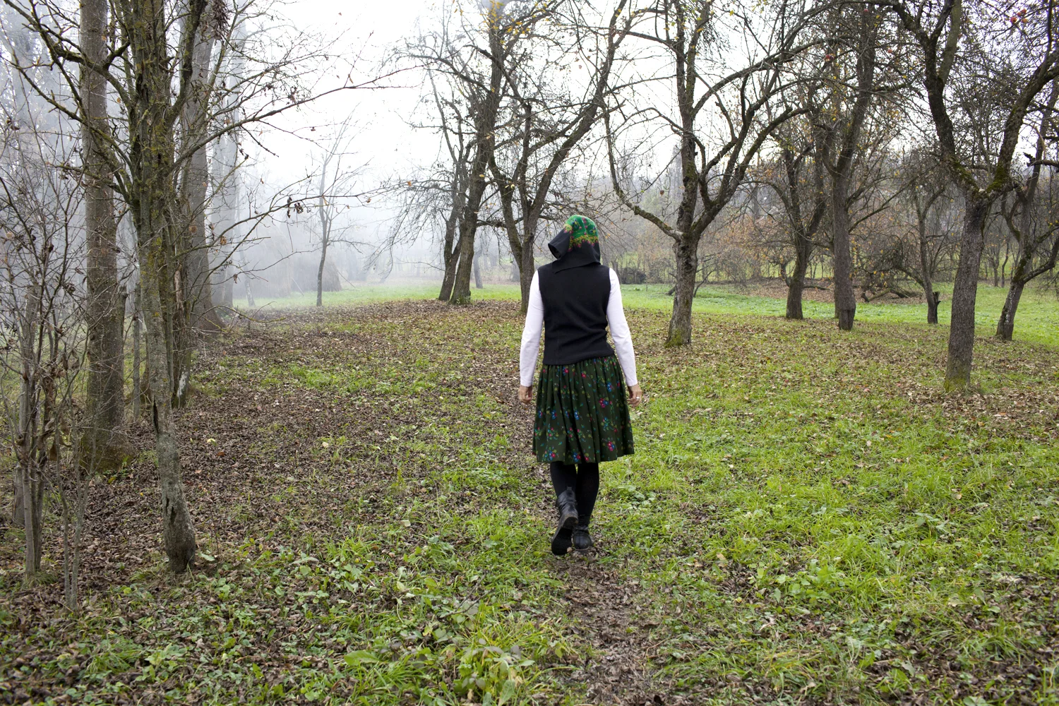 Heading HomeFrom: I Am My Ancestors