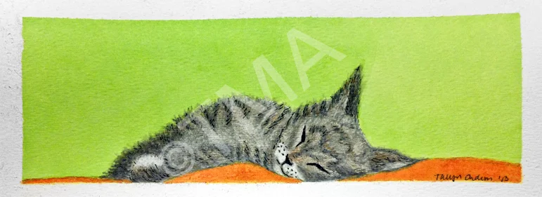 Watercolor KittyEarl_tma 2013.jpg