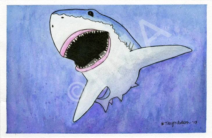 Watercolor shark_tma 2014.jpg