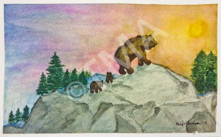 Watercolor Bear Mountain_tma 2013.jpg
