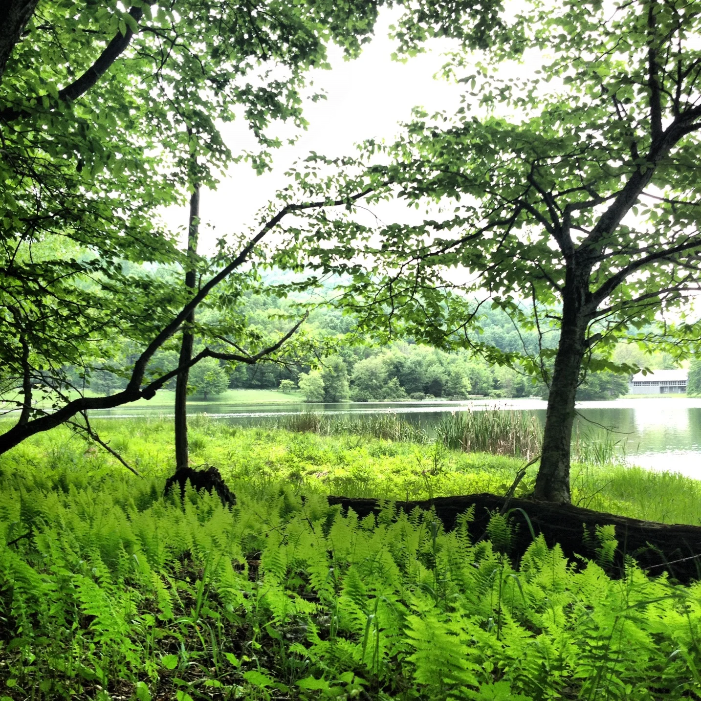 2012-05-13 13.35.15.jpg