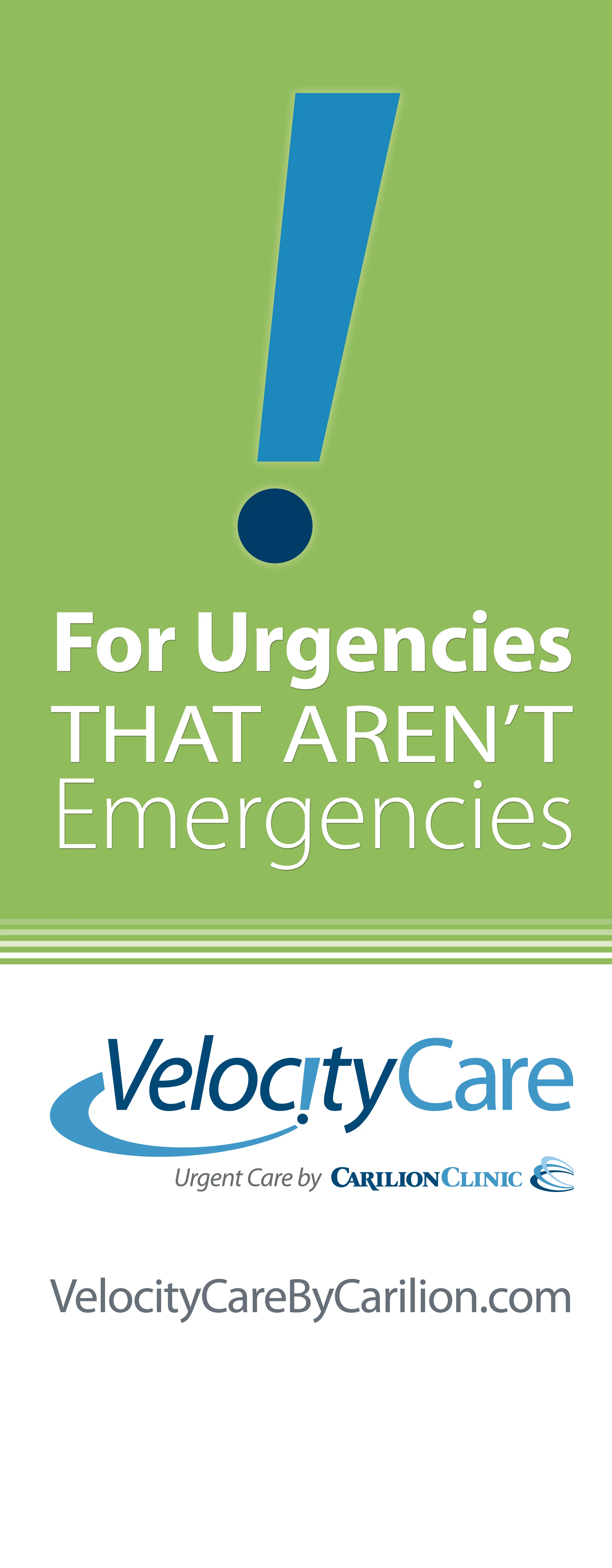 J729_0 VelocityCare Banner Bug.jpg
