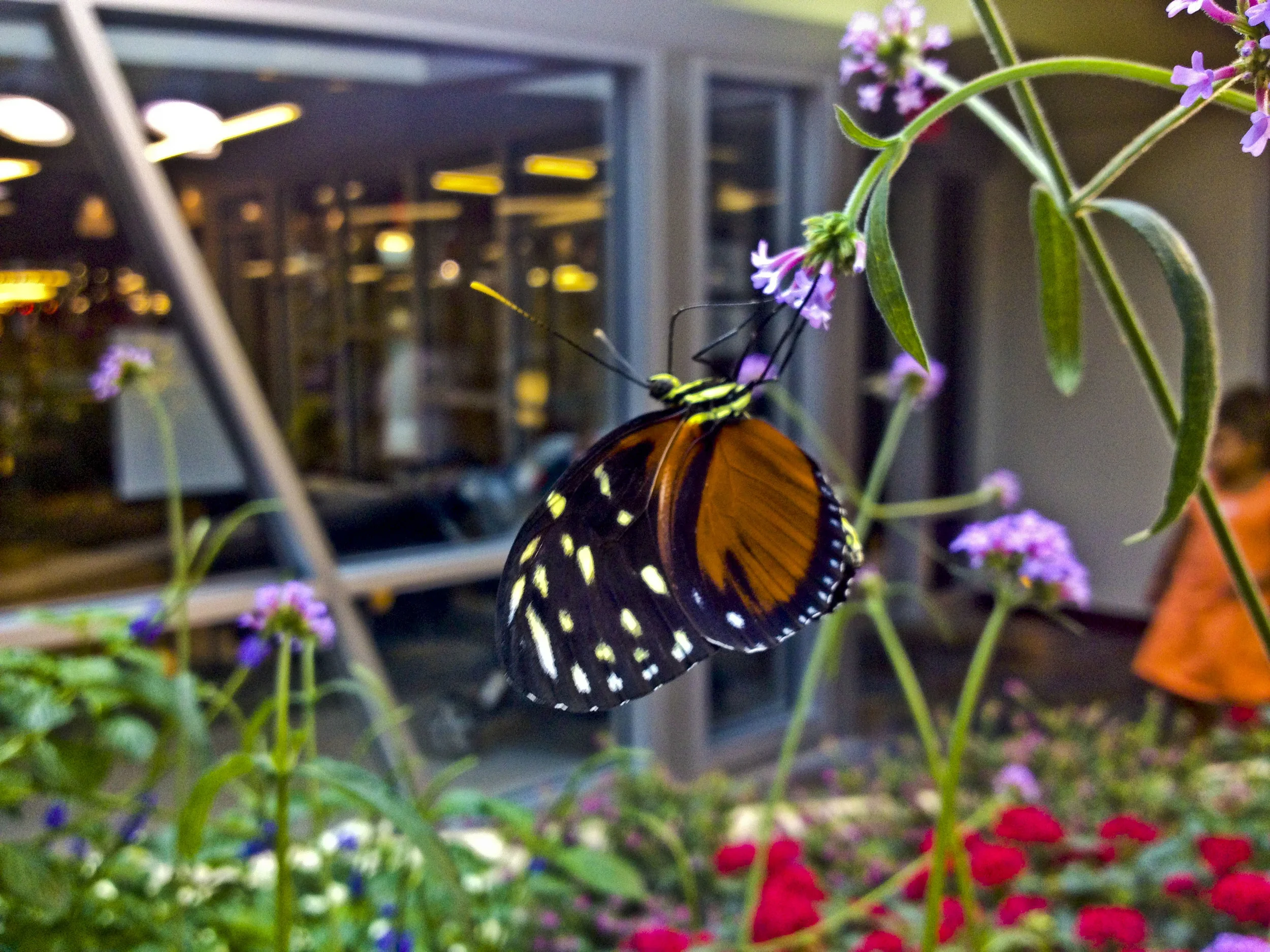 2013-08-15 12.57.31_1.JPG