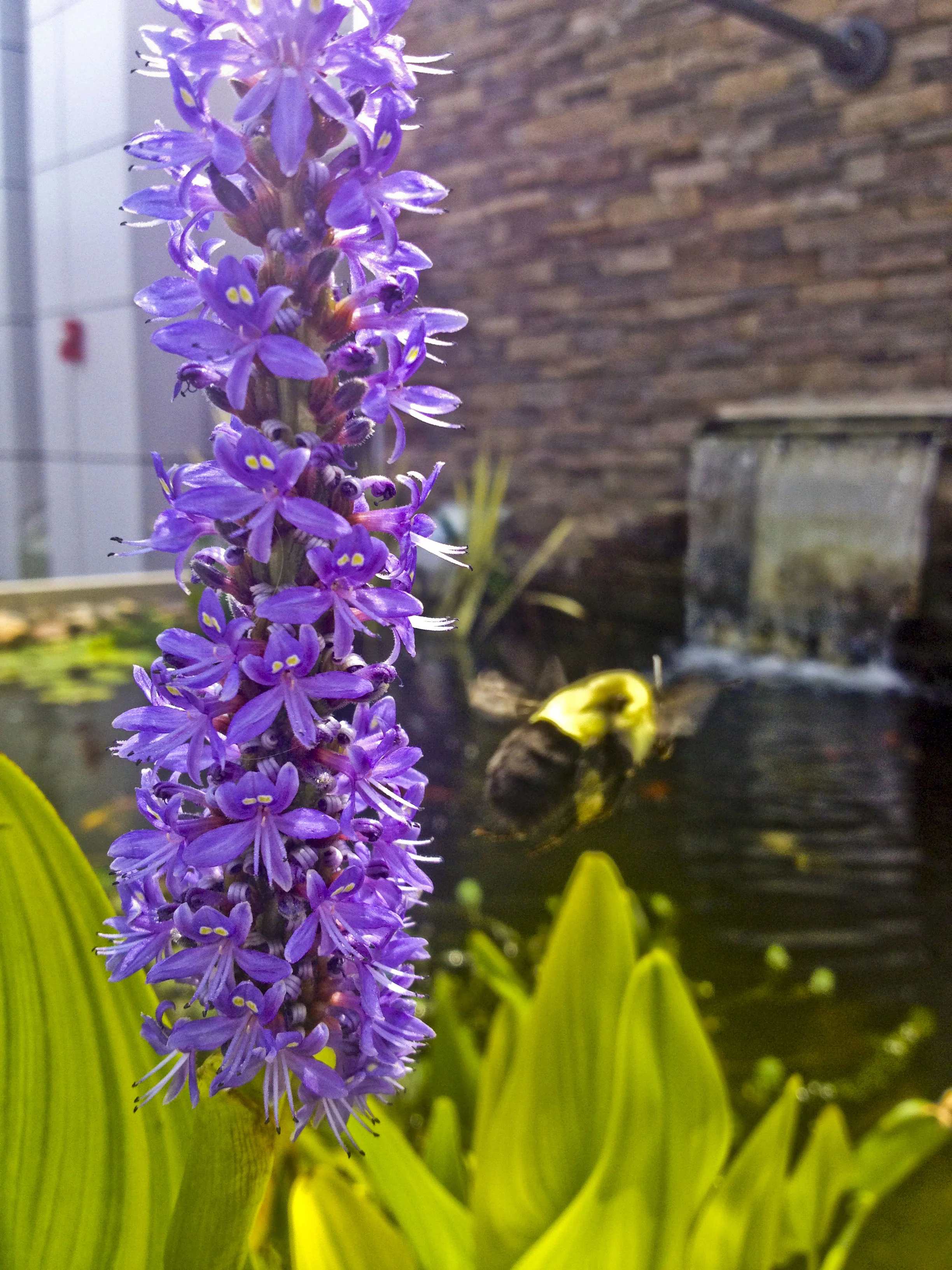 2013-08-15 12.51.28_1.JPG