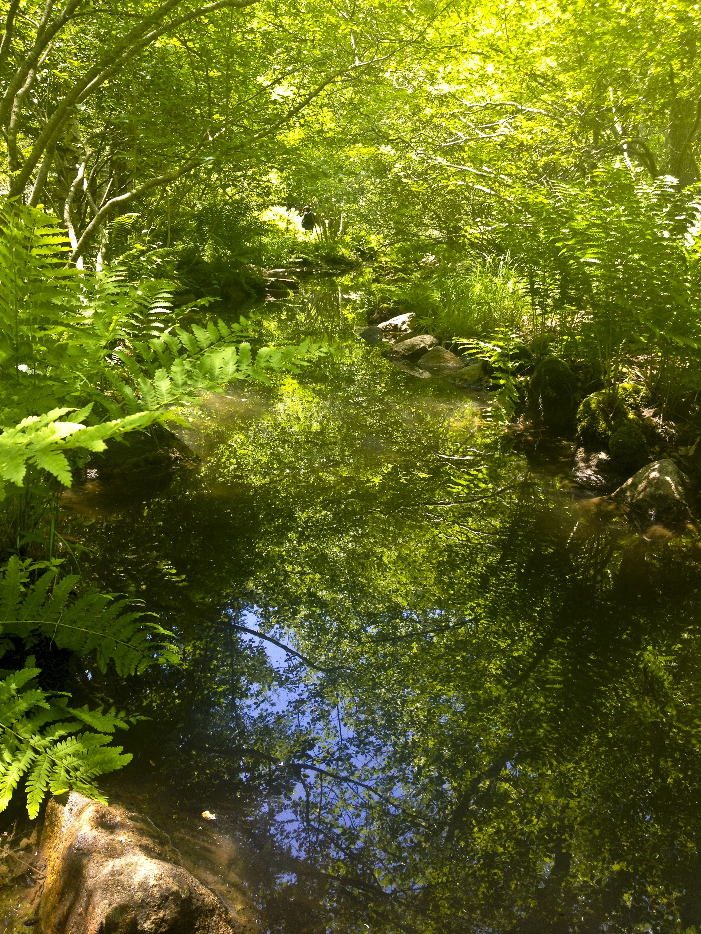 2013-06-21 12.34.27_1.JPG
